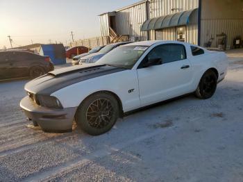  Salvage Ford Mustang