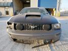 Ford Mustang Gt Image 12