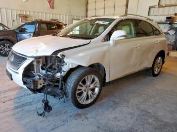  Salvage Lexus RX
