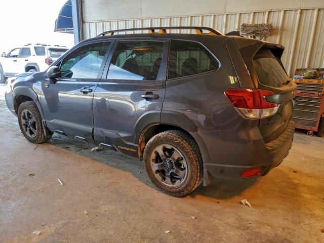 Subaru Forester Wilderness Image 2