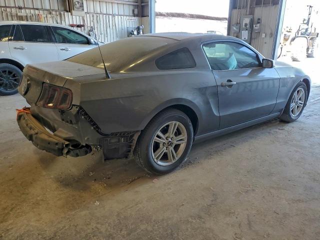 Ford Mustang Image 3