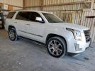 Cadillac Escalade Luxury Image 10
